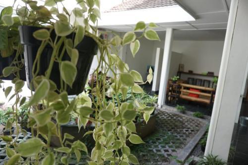Hostal Ndalem Mbak Charly