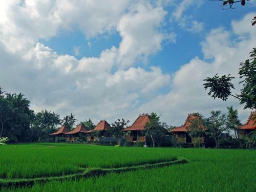 Kajane Yangloni At Ubud Bali