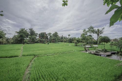Kajane Yangloni At Ubud Bali