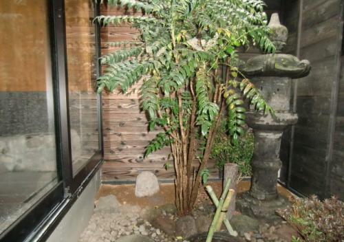 Yufu - Hotel / Vacation Stay 52966