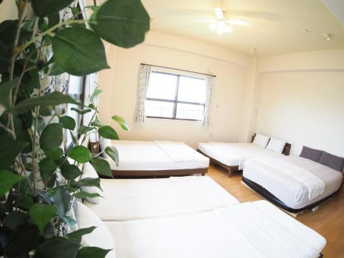 Apartamento ??? ???? Ur1