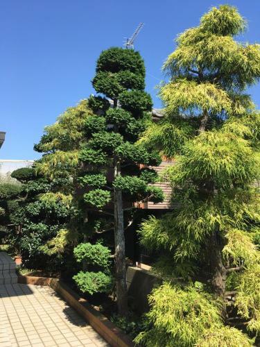 Kamagaya - House - Vacation Stay 9556