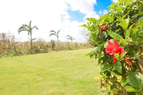 La Siesta / Vacation Stay 55021