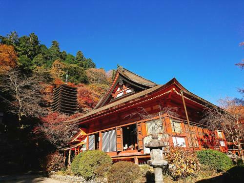 Hostal Guesthouse Hajimari
