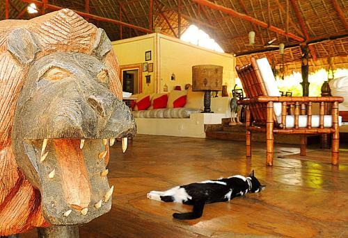 Lions House Luxury Villa
