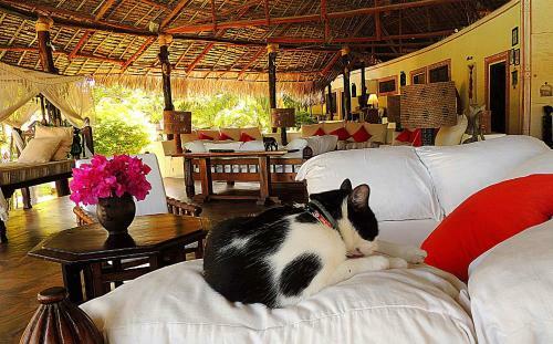 Lions House Luxury Villa