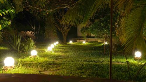 Lions House Luxury Villa