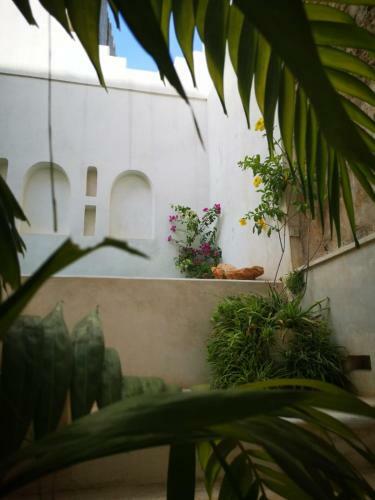 Oneway House Lamu Seaview Rooftop & Pool