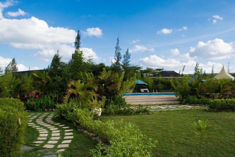 The Islandream