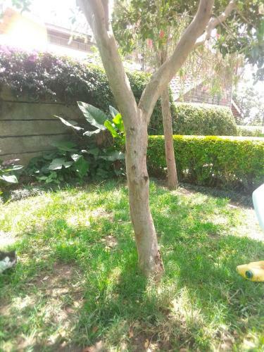 Apartamento Bernkish Homes