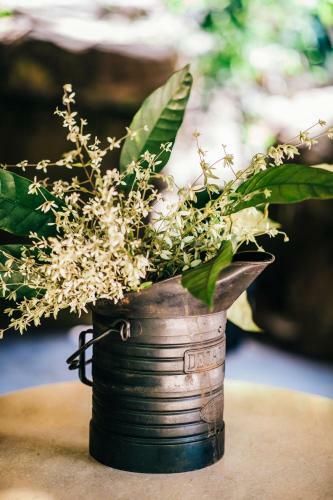 Bensley Collection - Shinta Mani Wild