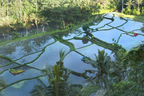 Villa Umah Tampih