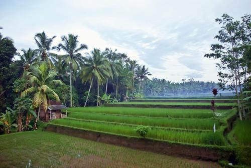 Villa Junjungan Resort Pool & Spa