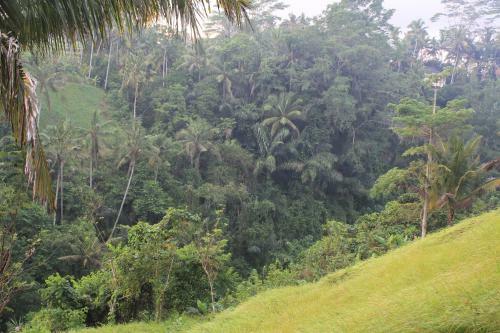 Villa The Desa Ubud