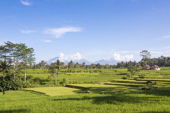 Hotel The Lokha Ubud