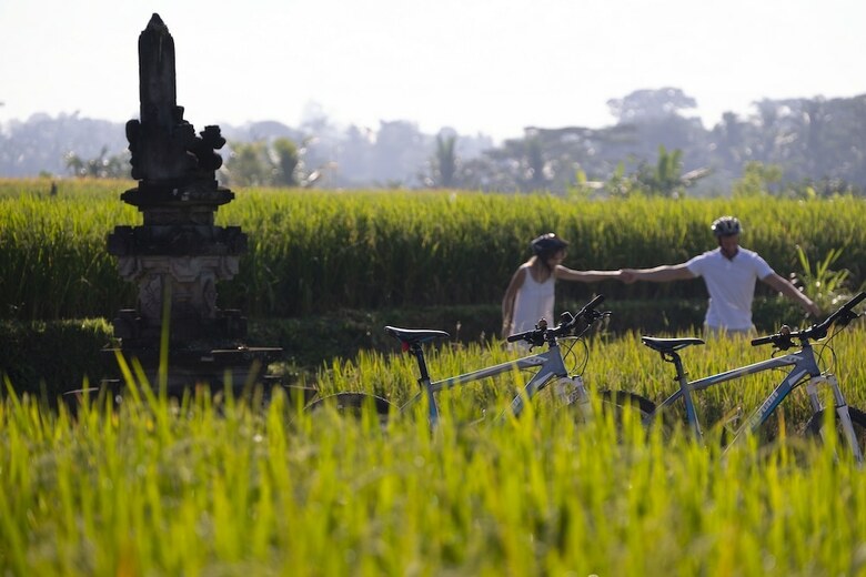 Hotel The Samaya Ubud