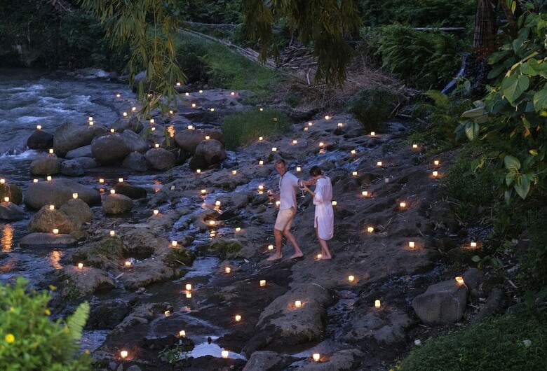 Hotel The Samaya Ubud
