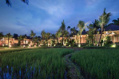 Hotel Sankara Ubud Resort