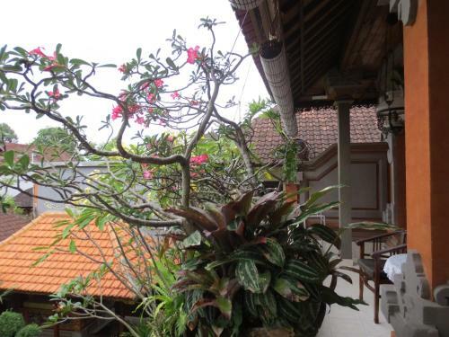 Hostal Indra Homestay