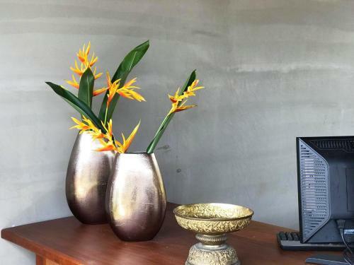 Hotel Dontrei Villa Angkor