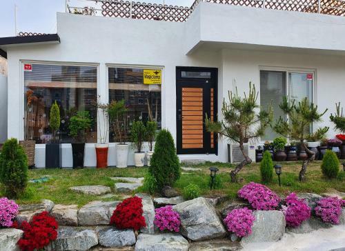 Hostal Mokpo Magic Lamp Guesthouse