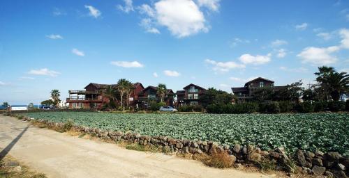Elroman Pension