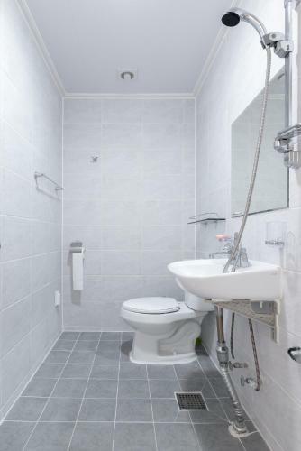 Hostal Zibro Y