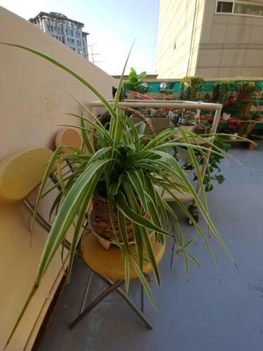 Apartamento Hongdae Sinchon Yeonhui House B Floor
