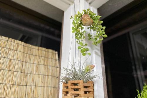 Apartamento Terrace In Mincho House