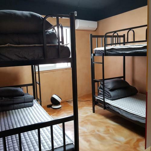 Albergue And My Home