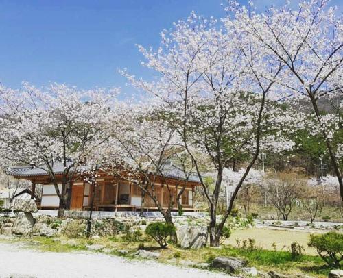 Wanju Hoyeonje