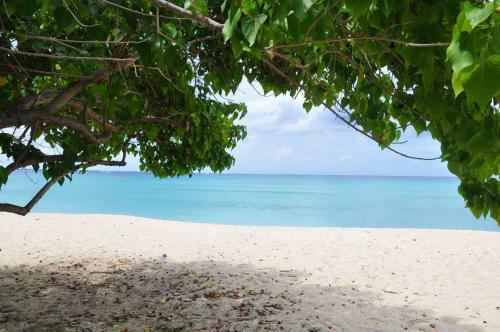Apartamento Calypso Cove