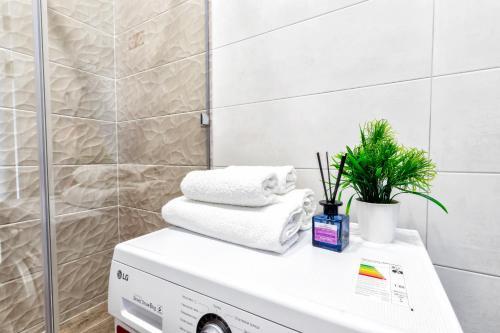 Raisson Aparthotel Tokyo D90