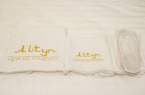 Altyn Hotel