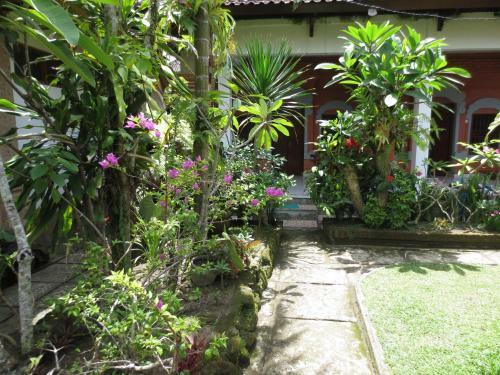 Hostal Dani Home Stay