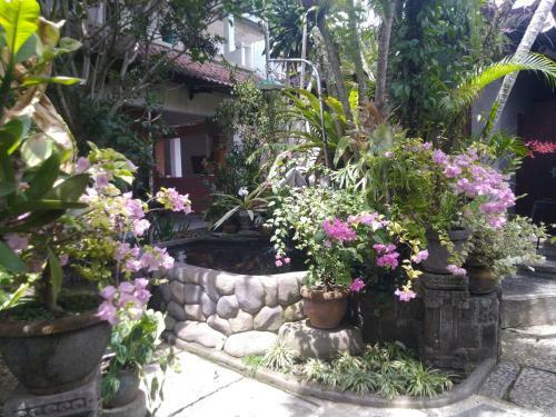 Hostal Dani Home Stay