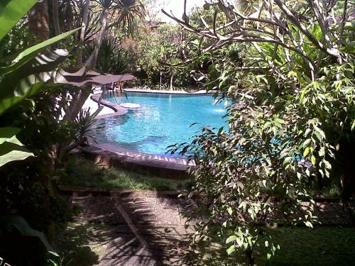 Hostal Arjana Bungalows 2