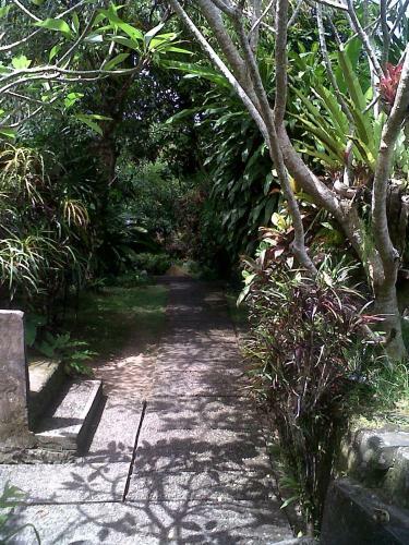Hostal Arjana Bungalows 2