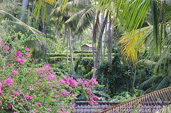 Hostal Gusti's Garden Bungalows