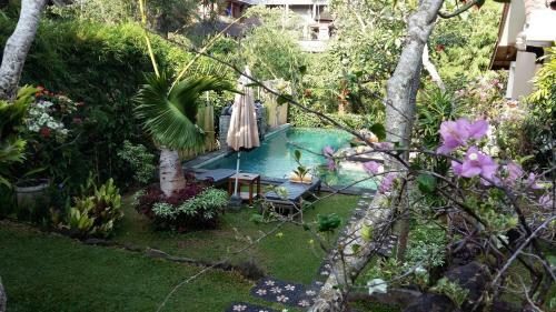 Hostal Desak Putu Putra Hidden