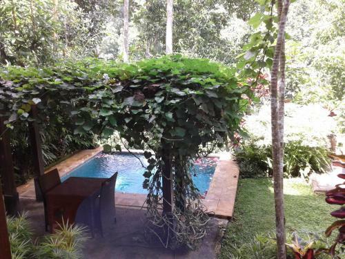 Anahata Villas And Spa Resort