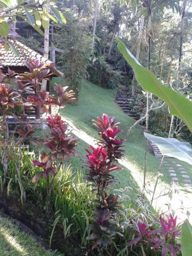 Anahata Villas And Spa Resort