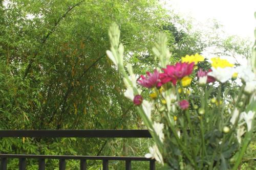 Pondok Bambu Homestay
