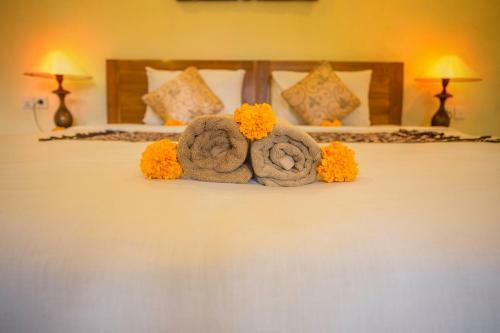 Hostal Gusti Kaler House