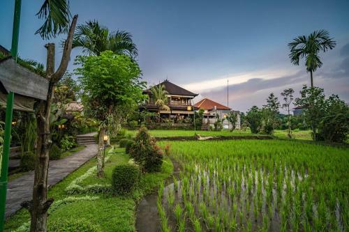 Hostal Bliss Ubud Spa & Bungalow