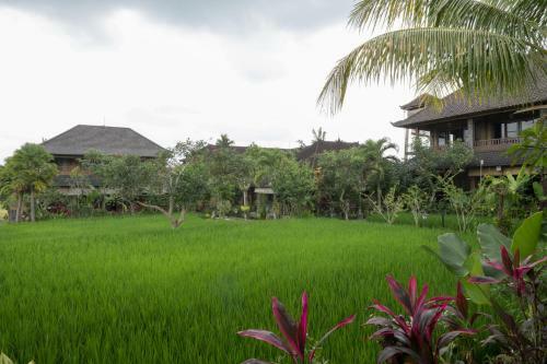 Hostal Bliss Ubud Spa & Bungalow