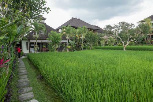 Hostal Bliss Ubud Spa & Bungalow
