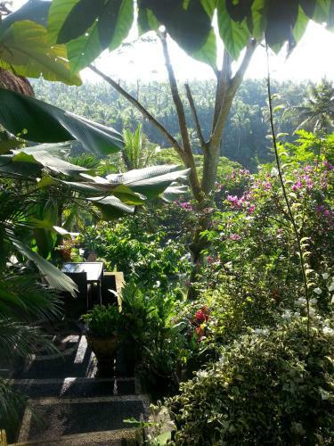 Hostal Green Spirit Villa