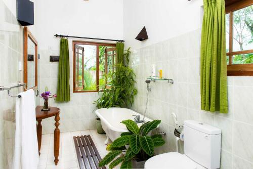 Hostal Villa Rosa
