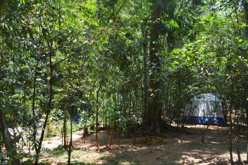 Shadow Grove Camping & Cabins Kitulgala